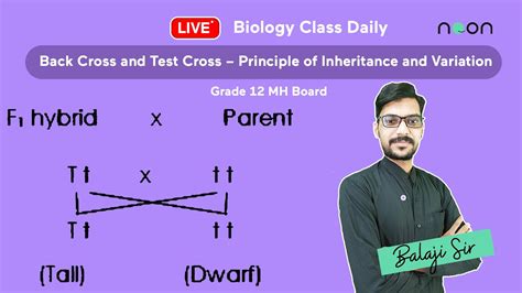 Back Cross And Test Cross Principle Of Inheritance And Variation