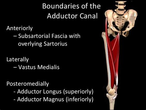 Slideshow Adductor Canal