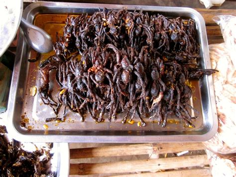 Visit Skun: 2024 Travel Guide for Skun, Cheung Prey | Expedia