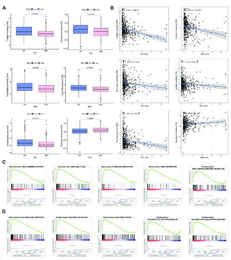 Drug Sensitivity Analysis And Gsea Enrichment A Differences And B