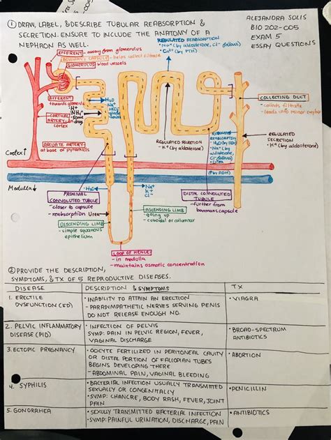 Pin by Nicole Fedler-Lepper on Pharmacology nursing in 2024 | Nurse ...