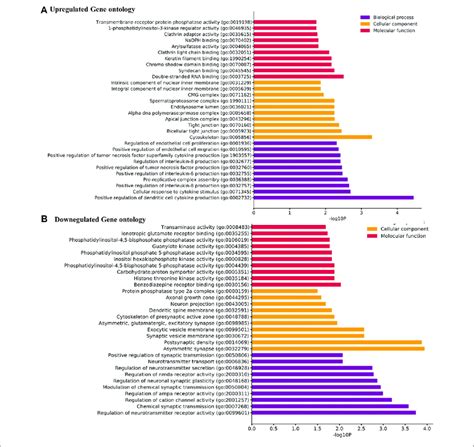 A Gene Ontology Go Term Enrichment Analysis Of The Upregulated Download Scientific