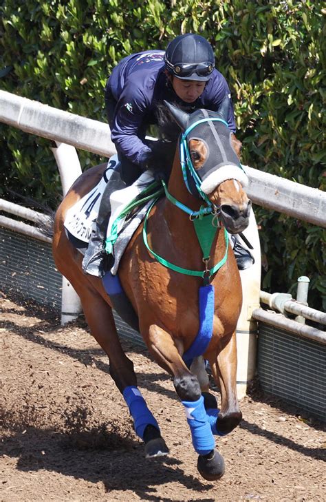 【池添謙一のken To 1】ヴィクティファルスをダート重賞初制覇へ導く Umatoku 馬トク