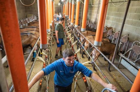 REPORTAGE Autour de Sainte Soline le chantier des méga bassines