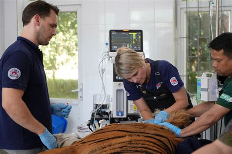 B T T M Giam Hot Girl L C Th Th Y