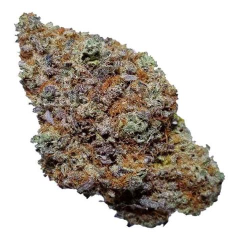 Blue Cheese strain