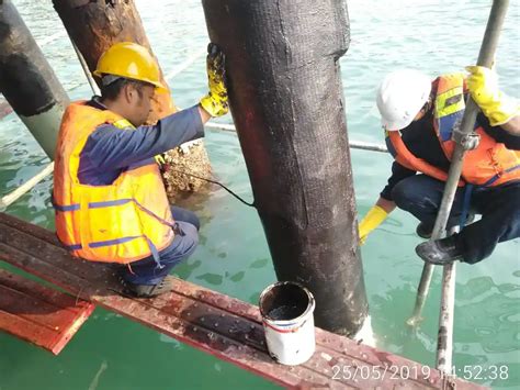 produk tyfo sch  fyfe indonesia