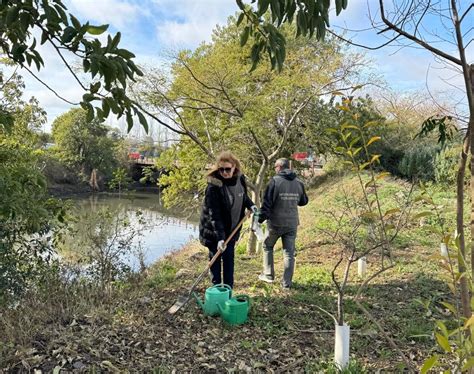 Plantación De árboles Nativos En La Reserva Ecológica Lago Lugano