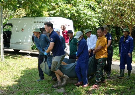 Bắt tạm giam hot girl Lộc Thị Thúy