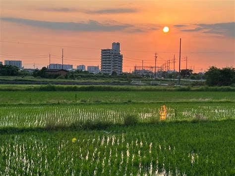 6月の長久手市役所裏の風景 長久手市長さとうゆみオフィシャルブログpowered By Ameba