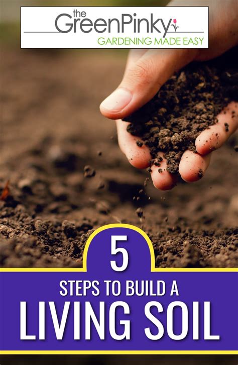 How To Build Living Soil Steps And A Living Soil Recipe