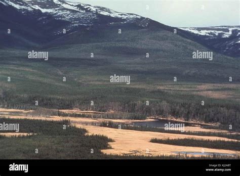 Nowitna river (1 Stock Photo - Alamy