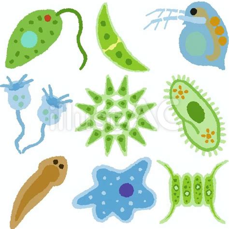 微生物イラスト No 22990295｜無料イラスト・フリー素材なら「イラストac」