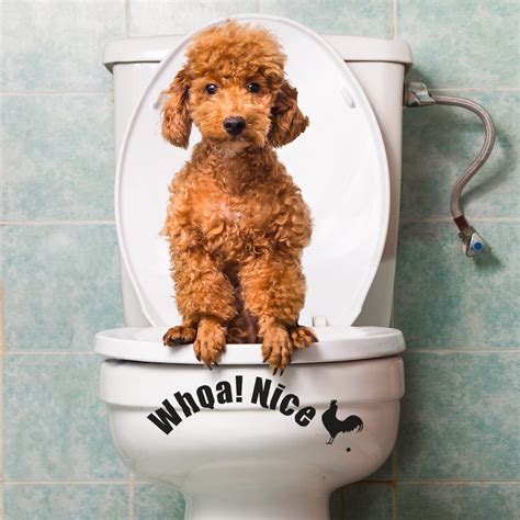 Buy Pieces Sticker Decals Funny Toilet Bathroom Seat Vinyl Stickers