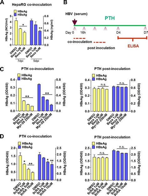 Activation Of Rxrs Inhibited Hbv Infection In Both Heparg Cells And