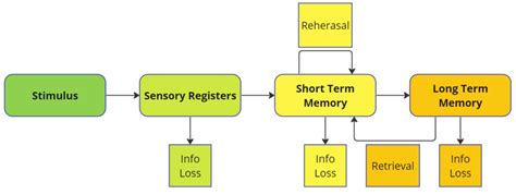 psychology  memory    game