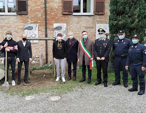 Lalbero Simbolo Della Lotta Contro La Mafia Piantato Alla Succursale