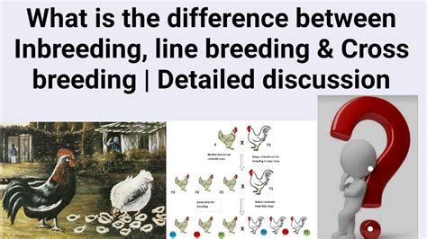difference  inbreeding  breeding cross
