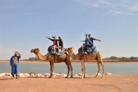 Camel ride in Agadir - Amallay Adventures