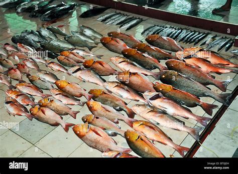 Fish Market In Male Maldives Stock Photo Alamy