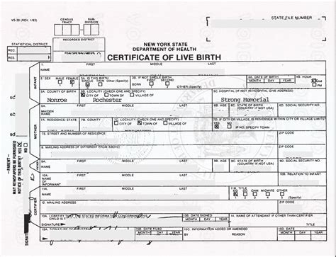 Order New York Ny Birth Certificate With Confidence