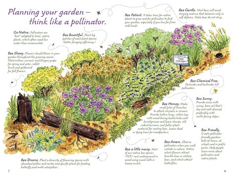 start  garden nyack pollinator pathway