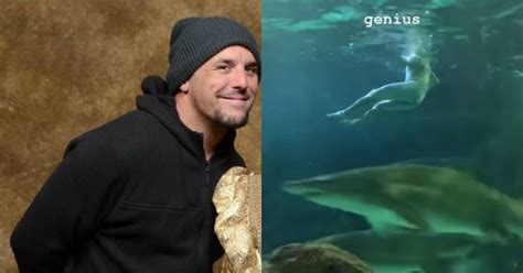 UPDATE Charges Laid Against B C Man Who Swam Naked In A Toronto Aquarium S Shark Tank
