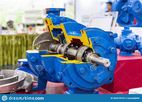 Cross Section Present Detail Component Inside Centrifugal Pump For