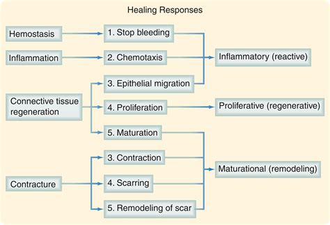 Wound Healing - Clinical Tree