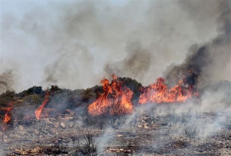 Limassol wildfire: a crisis we should have seen coming | Cyprus Mail