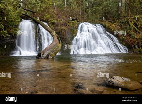 Wa23270 00washington Cherry Creek Falls In Marckworth State Forest
