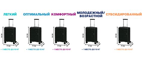 » Ручная кладь
