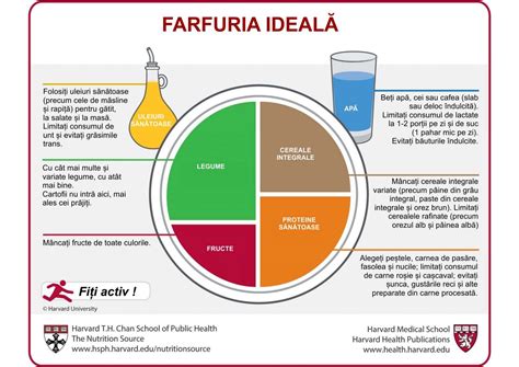 Farfuria Ideal Tiri Din S N Tate