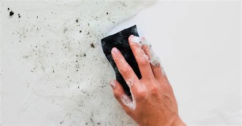 Как быстро избавиться от плесени в ванной - чем легко удалить плесень в ...