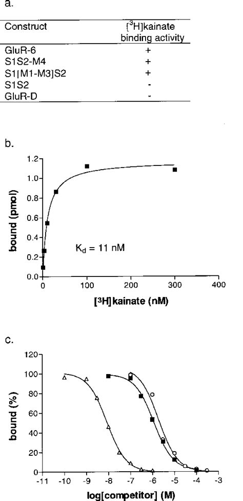 Ligand Binding Properties Of The Membrane Bound GluR 6 Fragments A