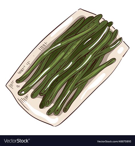 Green Beans Royalty Free Vector Image Vectorstock
