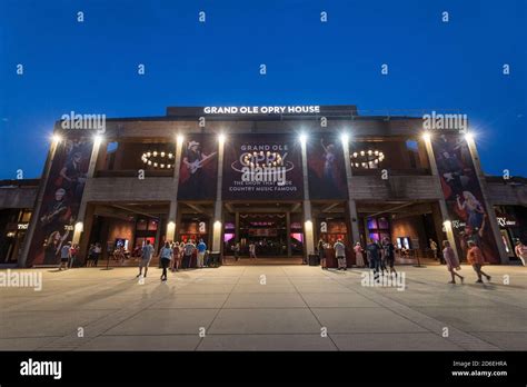 NCAA Women's Volleyball: Everything You Need To Know