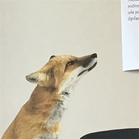 Создать мем "лиса арт, рисунок лисы, картина с лисой" - Картинки - Meme ...