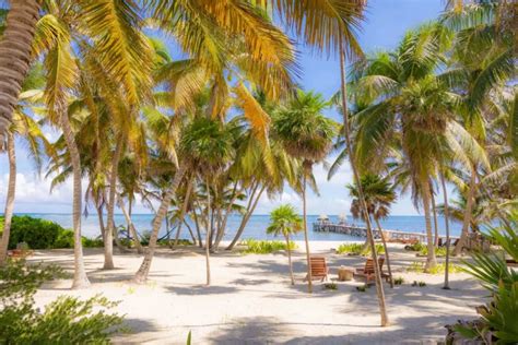 Playa Sonrisa Hotel Mexico Nude Beach Map