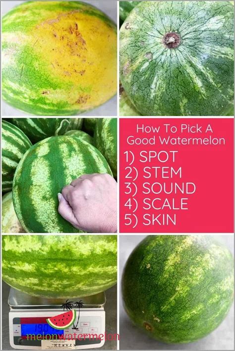 Master the Art of Choosing the Perfect Watermelon Every Time with These ...