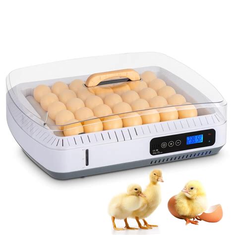 36 Eggs Incubators for Hatching Eggs with Automatic Turner and Humidity