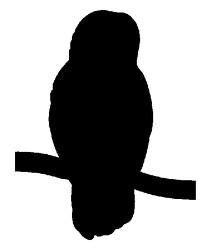 Owl Silhouette Tattoo at GetDrawings | Free download