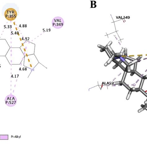 Best Ranked Pose Of Diclofenac 2d A And 3d B Interactions In The