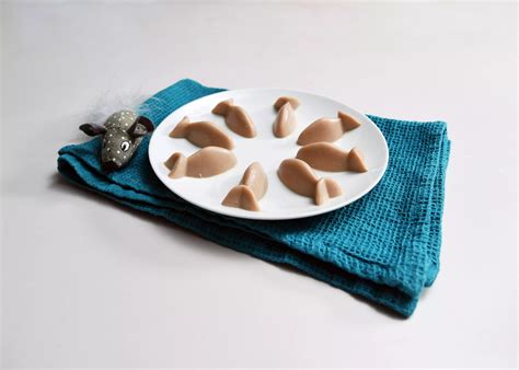 Homemade Cat Treats | Battersea Dogs & Cats Home