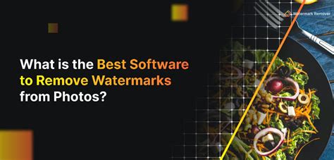 Best Software To Remove Watermarks From Photos