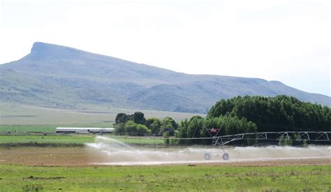 Polluted rivers contaminate SA’s food chain, threaten exports - Food ...