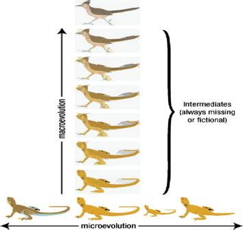 Macroevolution vs. Microevolution | Download Scientific Diagram