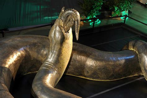 prehistoric snake size