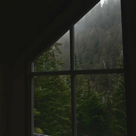 dark forest aesthetic window view