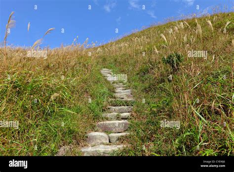 mountain path for hiking Stock Photo - Alamy